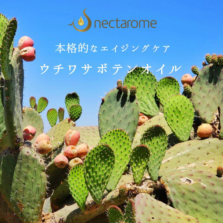 【NECTAROME / ネクタローム】オーガニック・ウチワサボテンオイル 20ml