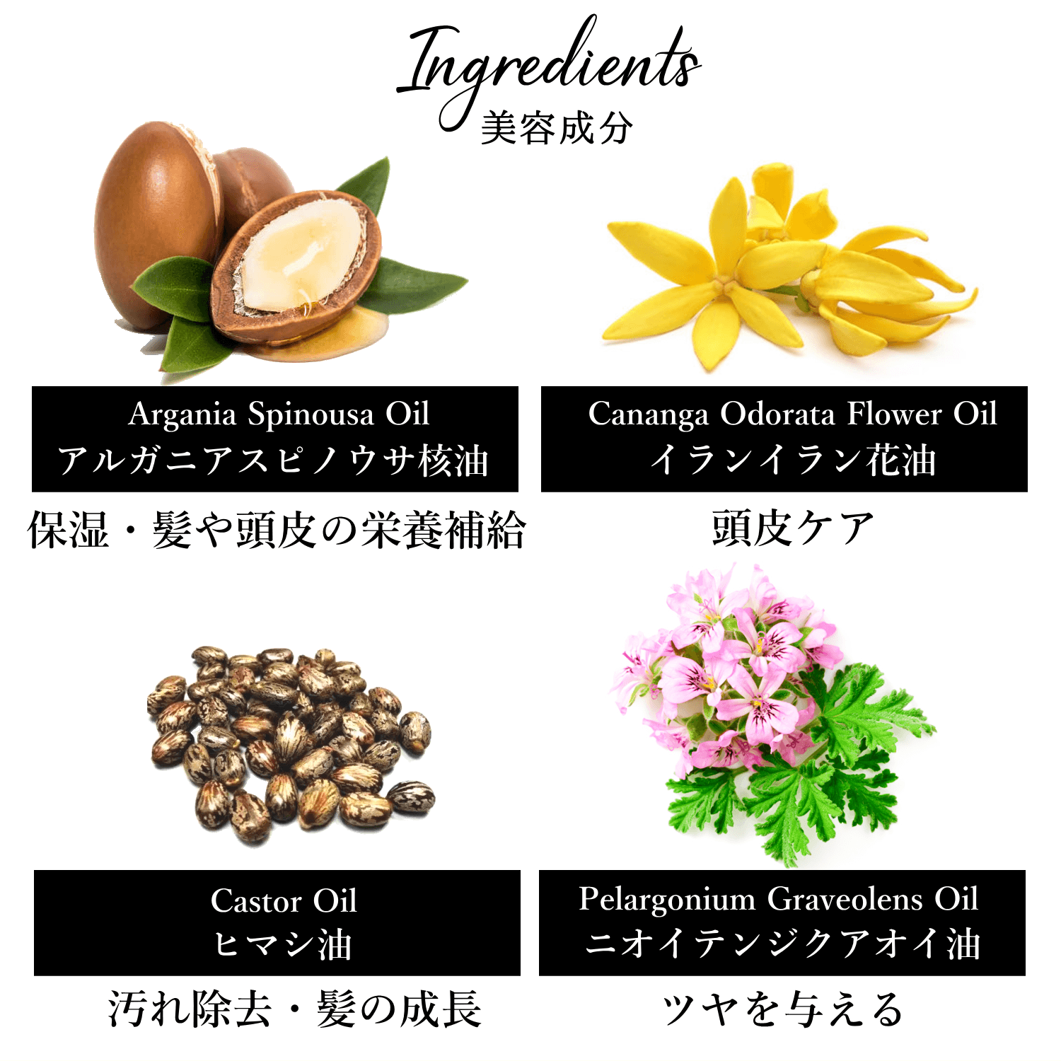 NECTAROME ネクタローム 成分 アルガニアスピノウサ核油 イランイラン花油 ヒマシ油 ニオイテンジクアオイ油 - YOUR ORGANICS